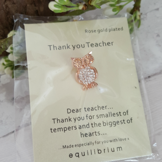 Owl shaped brooch on a "thank you teacher" card