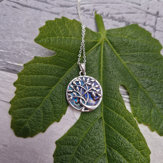 New Zealand Paua Shell pendant featuring a Silver Tree of Life.