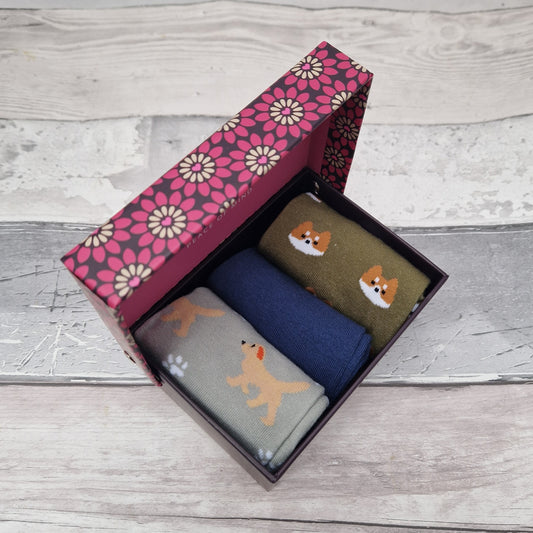 3 Pairs of dog themed socks in a presentation gift box. Colour scheme of navy, green and grey.