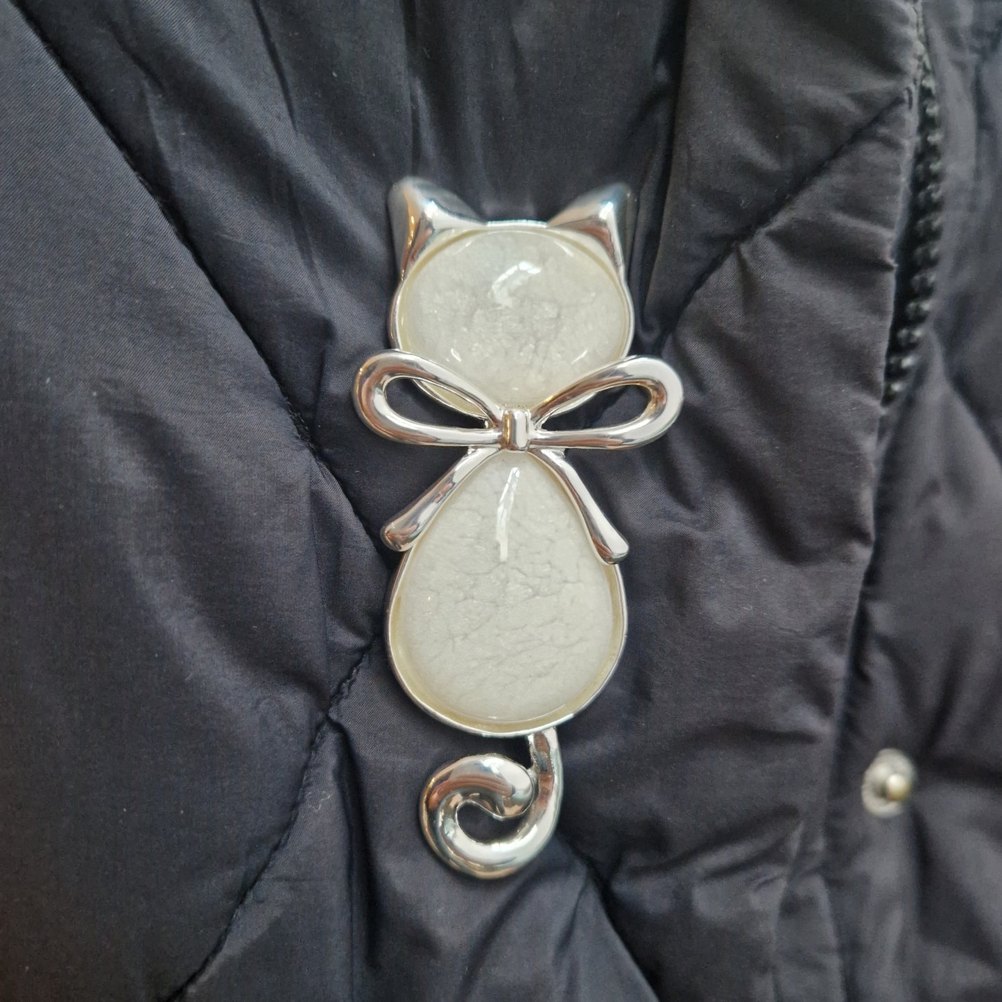 Cat-shaped brooch with a bow on a black textured background