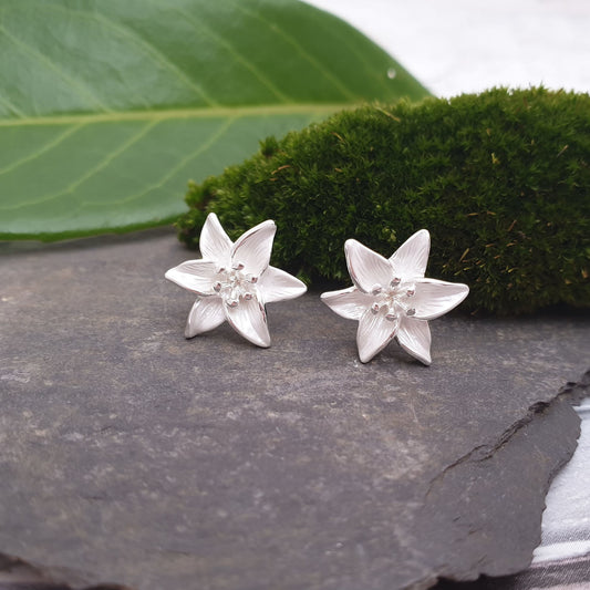 Photo of a pair of stud earrings featuring a single white Madonna Lilly